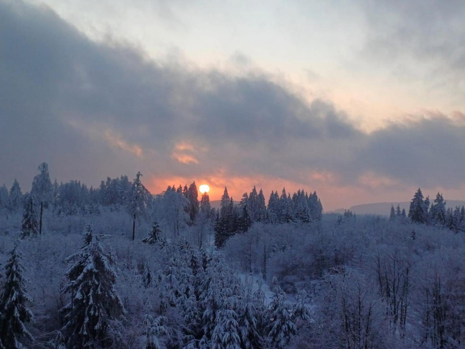 Ferienwohnung Skadi, Hahnenklee Goslar Bagian luar foto