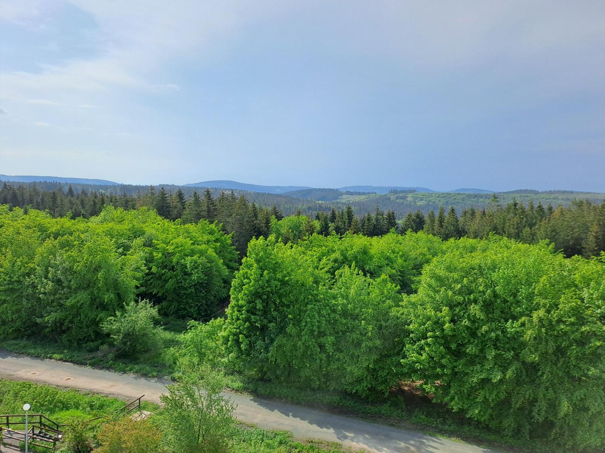 Ferienwohnung Skadi, Hahnenklee Goslar Bagian luar foto